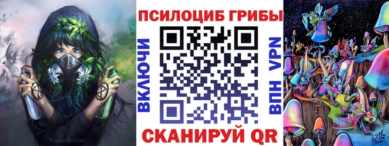 Псилоцибиновые грибы мухоморы  цены наркотик  гидра зеркало  Нальчик 