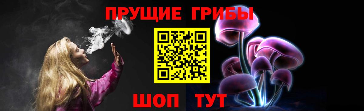 где купить наркоту  Вход с VPN  Нальчик  Псилоцибиновые грибы MAGIC MUSHROOMS 